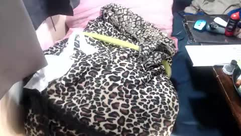 Snapshot of ricardovilla017 chatting on 02/17/25, 02:26 ricardovilla017 online show from 02/17/25, 02:26