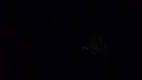 Babu online show from 10/12/25, 03:27