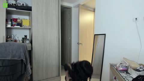 Snapshot of rickydicot_13 chatting on 09/27/25, 02:05 RickyDicot 13 online show from 09/27/25, 02:05