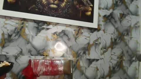 Snapshot of rigel_paxs chatting on 11/20/25, 08:30 rigel online show from 11/20/25, 08:30