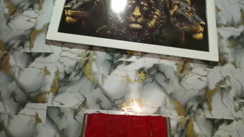 Snapshot of rigel_paxs chatting on 02/24/26, 06:28 rigel online show from 02/24/26, 06:28