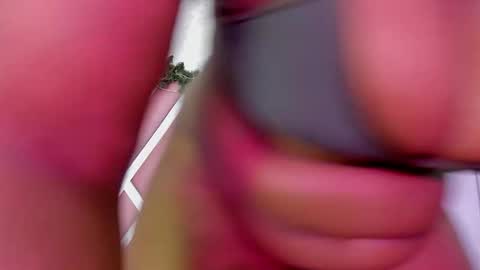 Rihanna Abiodun online show from 12/21/25, 09:55