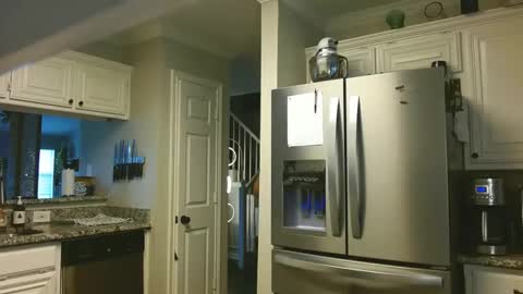 riley depp online show from 02/14/25, 10:04