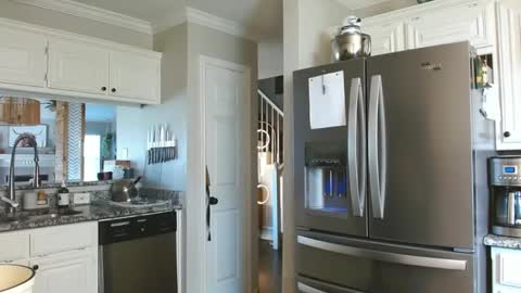 riley depp online show from 02/17/25, 10:36