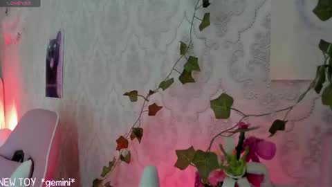 My name is Riley Like my broadcast pls 3 online show from 07/26/26, 07:26