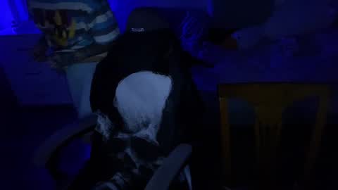 Snapshot of ripper_66 chatting on 12/17/24, 07:48 DianaBrite fansl y online show from 12/17/24, 07:48