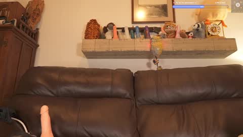 Ryan aka KeylimeRy online show from 02/14/25, 07:38