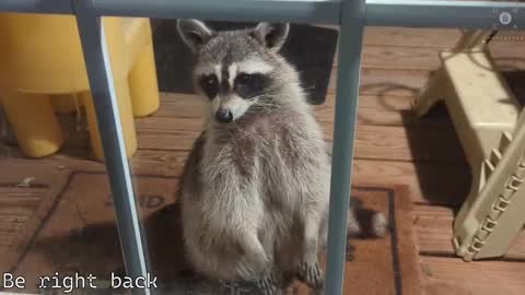 Ryan aka KeylimeRy online show from 02/28/25, 11:36