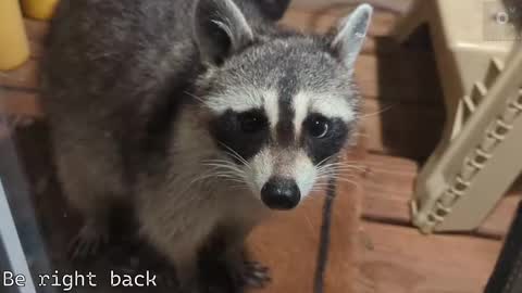 Ryan aka KeylimeRy online show from 09/21/25, 11:56