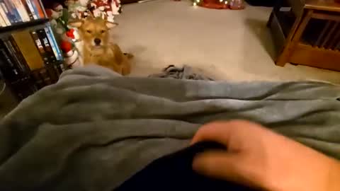 robbiebob6828 online show from 01/09/26, 04:26