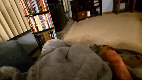 robbiebob6828 online show from 03/02/26, 04:14