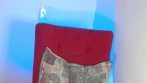 Snapshot of robert_leroy chatting on 02/01/25, 10:13 Stiven - online show from 02/01/25, 10:13