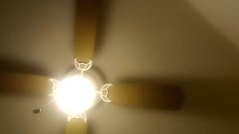 robertsaiz4200 online show from 12/20/25, 08:49