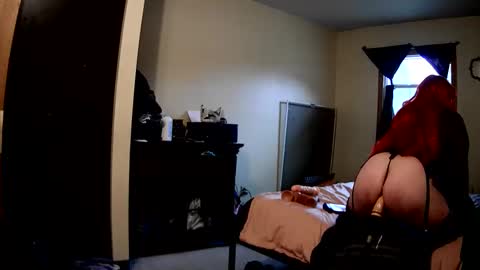 RobinHEAD online show from 02/18/26, 05:53