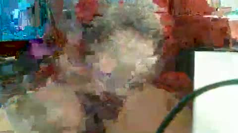 Rocco  aka DaddyRoc online show from 02/11/26, 11:48