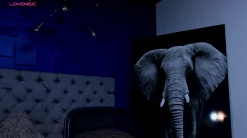 rocco_santos online show from 09/21/25, 07:21