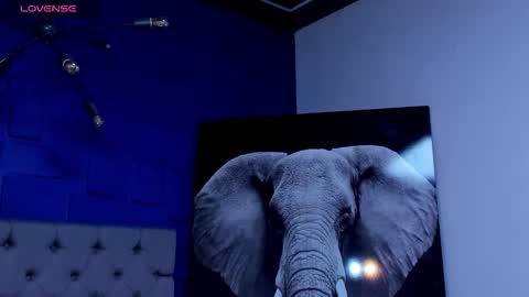 rocco_santos online show from 09/27/25, 06:07