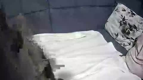 roccosan online show from 10/04/25, 06:17