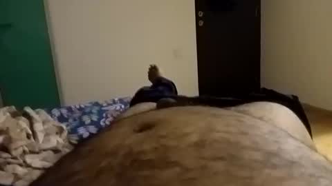 rockikoki online show from 02/09/26, 08:02