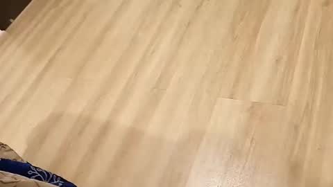 rockikoki online show from 03/16/26, 04:33