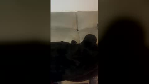 rogerbenid81 online show from 04/19/26, 11:07