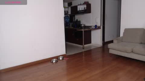 Rogger online show from 02/21/25, 03:12