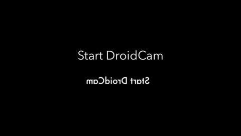 rojobob online show from 11/04/25, 01:05