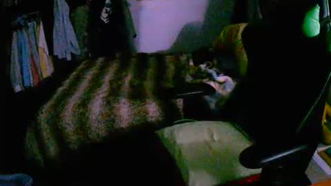 roktero 90 online show from 12/16/25, 08:03