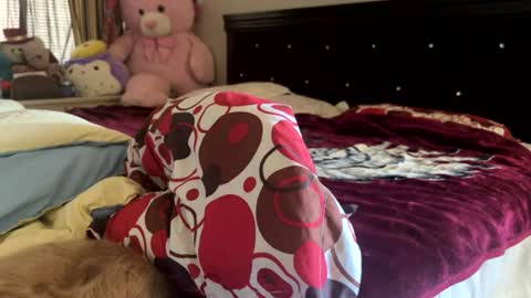 Rose and Jacks Pay Room online show from 07/30/26, 07:13