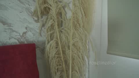 Lyla OF roselinedior online show from 12/01/25, 01:38