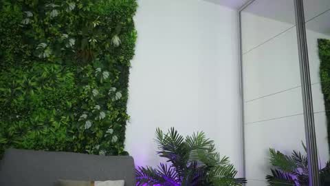 Amii online show from 04/15/26, 05:42