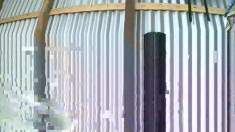 rosia online show from 01/10/26, 08:05