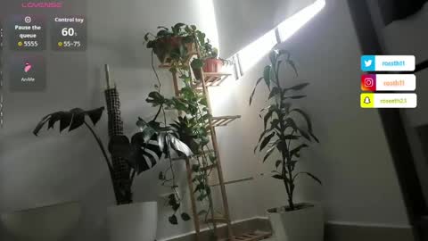 Im Ross   online show from 04/05/26, 05:32