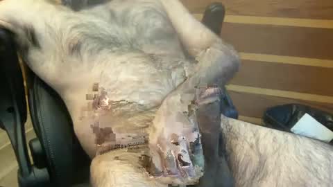 rotoball007 online show from 01/30/25, 08:31