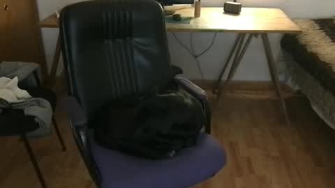 rousshen online show from 04/28/26, 04:12