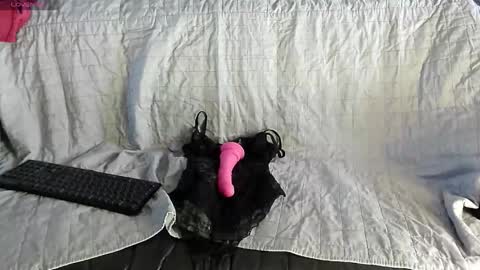 Snapshot of roxaneramirez chatting on 05/06/26, 06:08 roxaneramirez online show from 05/06/26, 06:08