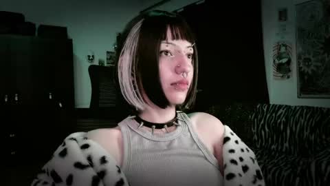 Snapshot of roxy_toxic chatting on 05/15/26, 11:34 Roxy Independient model Help me to reach 50 thumbs up online show from 05/15/26, 11:34