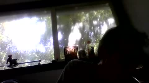 Snapshot of royboy2561 chatting on 05/26/26, 11:23 Roy Murrin online show from 05/26/26, 11:23