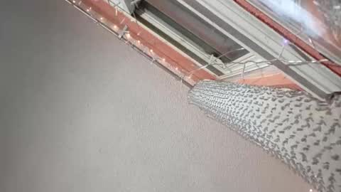 rraineonme online show from 01/12/26, 10:09