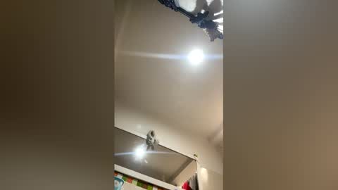 Snapshot of rubijasper18 chatting on 03/08/26, 03:16 Rubi online show from 03/08/26, 03:16