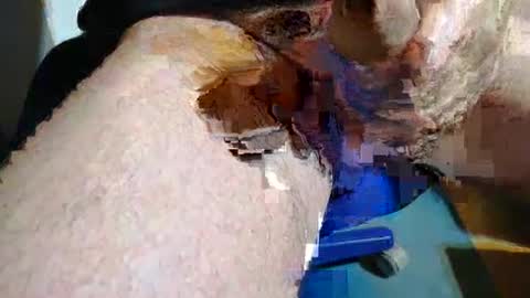 rudi_rudi_rudi_rudi online show from 07/13/26, 01:36