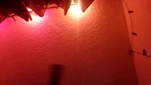 Snapshot of rudy11448 chatting on 10/19/25, 07:42 rudy11448 online show from 10/19/25, 07:42