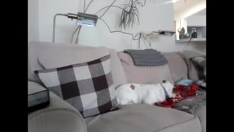 Snapshot of rustyx22 chatting on 03/06/25, 04:07 Rusty online show from 03/06/25, 04:07