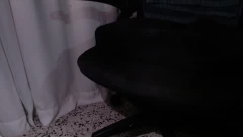 Snapshot of rx7900xtx chatting on 12/04/25, 03:27 rx7900xtx online show from 12/04/25, 03:27