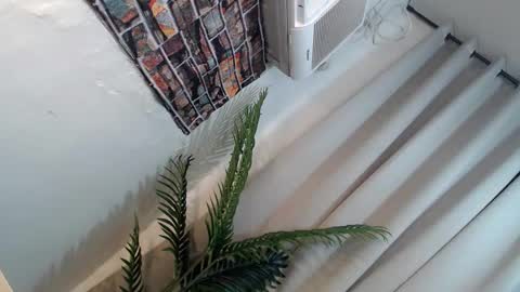 Its me Ryan  online show from 01/26/25, 06:27