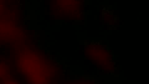 Ryan Star online show from 01/18/25, 08:10