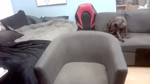 Ryan Tee online show from 11/01/25, 10:50