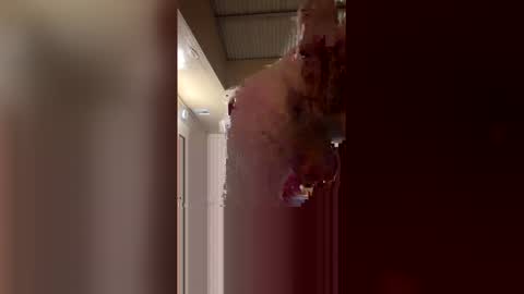 ryder868 online show from 04/17/26, 07:33