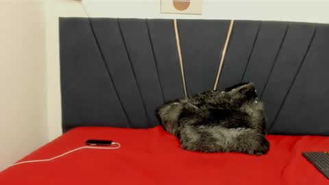 ryder_cum23 online show from 11/12/25, 03:40