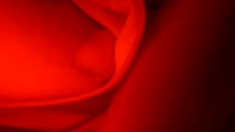 Snapshot of ryucravenmore chatting on 10/05/25, 01:09 ryucravenmore online show from 10/05/25, 01:09